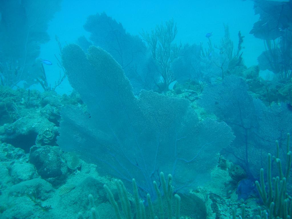 2008-05-12 16-33-22.JPG